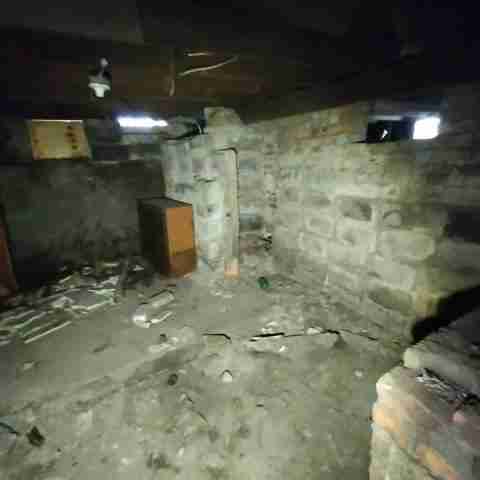 8031 conger (76).jpg